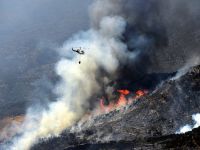 California'da korkutan orman yangını