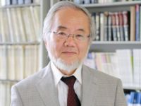 Nobel Tıp Ödülü, Japonya'da sahibini buldu!