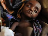 Pandemi yüzünden bir milyar insan açlık tehdidi altında