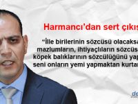 Harmancı'dan sert açıklama: Köpek balıklarının sözcülüğünü yapmak seni onların yemi yapmaktan kurtarmaz