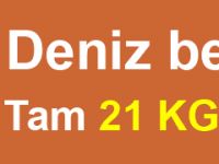 Tam 21 kg Kılıç Balığı!