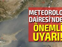 Meteoroloji diresi uyardı: Don olayına dikkat!