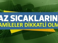 “Yaz Sıcaklarında Hamileler Dikkatli Olmalı"