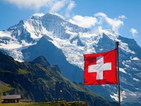 İsviçre'de bir garip referandum: Boynuzlu mu olsun boynuzsuz mu?