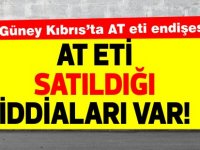 Güney Kıbrıs'ta  ‘atlar kesilip etleri satılıyor’