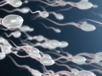 Brexit, İngiltere'de sperm kıtlığına neden olabilir