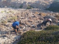 Girne'de temizlik çalışması