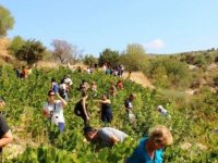 8. Geleneksel Malyalılar buluşması bugün gerçekleştiriliyor