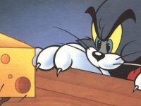 Tom ve Jerry'deki Jerry'nin Her Bölüm Peşinden Koştuğu O Meşhur Peynir: Gravyer