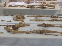 İnönü’deki kayıp kazılarında bulunan kemikler Kıbrıslı Rum’a ait