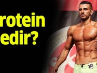 Protein nedir protein ne işe yarar?