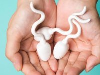 Uzmanından Sperm Sayısını Artıran 8 Önemli Besin