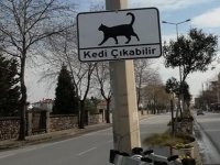 Belediyeden 'kedi çıkabilir' tabelaları
