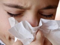 'Domuz gribi değil mevsimsel grip'