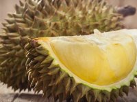 Endonezya'da yasaklı duryan meyvesi can aldı