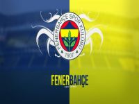 Fenerbahçe'nin yeni golcüsü