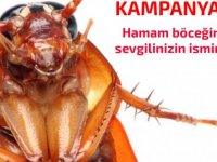 Sevgililer Günü'ne özel kampanya: Bir hamam böceğine eski sevgilinizin ismini verin