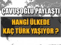 Hangi ülkede kaç Türk vatandaşı yaşıyor?