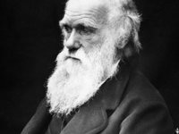Memleketi İngiltere'de Darwin'e sansür