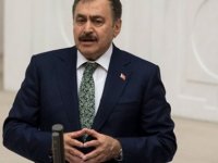 Veysel Eroğlu: "Kıbrıs'a su götürürken dilimin cezasını çektim"