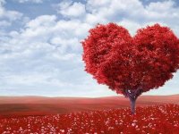 Sevgililer Günü nedir? 14 Şubat neden kutlanır?