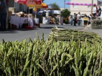 Yeniboğaziçi Belediyesi ve Slow Food Salamis, ayrelli günü düzenliyor