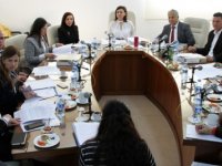 Cumhuriyet Meclisi dilekçe ve ombudsman komitesi toplandı