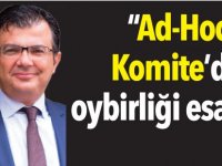 “Ad-Hoc  Komite’de oybirliği esastır”