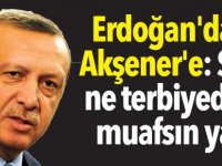 Erdoğan'dan Akşener'e: Sen ne terbiyeden muafsın ya?