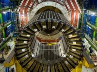 CERN ‘Kadın fizikçiler erkekler kadar iyi değil’ diyen profesörün işine son verdi