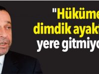 "Hükümet dimdik ayakta bir yere gitmiyor..."