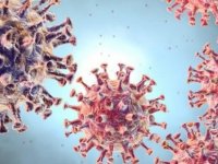 Coronavirüsünde son durum! Kabus senaryo gerçek oldu: SARS'ı geçti