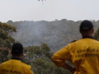 Avustralya’daki Yağmurlar Yangınların Üçte Birini Söndürdü