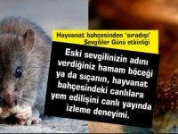 Hayvanat bahçesinden ‘sıradışı’ Sevgililer Günü etkinliği: Eski sevgilinizin adını verdiğiniz böceği yem edin