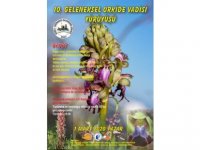 “Orkide Vadisi Orkide Gözlem Yürüyüşü” 1 Mart Pazar Lefke’de Yapılacak