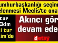 Cumhurbaşkanlığı seçiminin ertelenmesi Meclis'te onaylandı...Akıncı göreve devam edecek