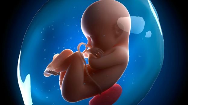 160705160612_foetus_babay_in_the_womb_640x360_alamy_nocredit.jpg