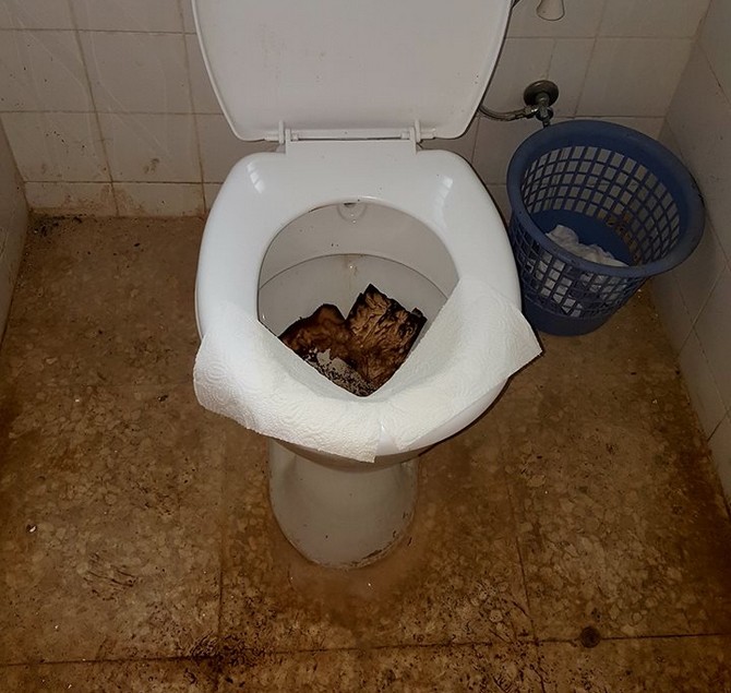 tuvaletler-alev-kayasi-(1).jpg