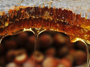 Cinsel Hayatınızı Yoluna Sokacak 7 Besin