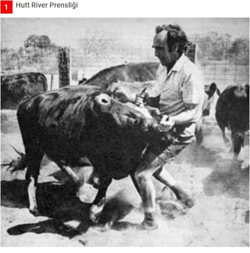 Vergilere sinirlenen çiftçi, kendi ülkesini kurdu ! galerisi resim 1