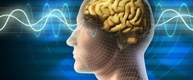 Vücudun en gizemli organı: Beyin. Hakkında ne biliyorsunuz ? galerisi resim 1