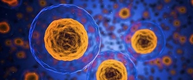 Yaşlandığınızı gösteren 9 biyolojik belirti galerisi resim 7