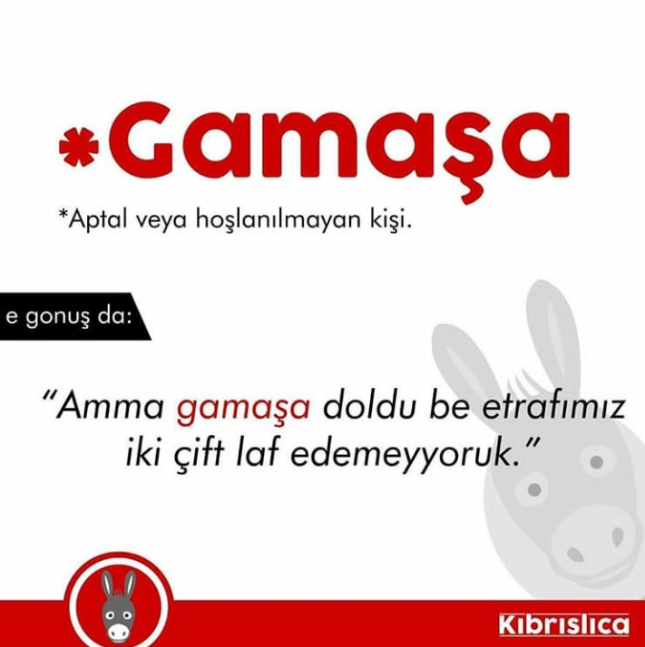 Sadece Kıbrıslıların bildiği 20 kelime. Siz kaçını biliyorsunuz ? galerisi resim 1