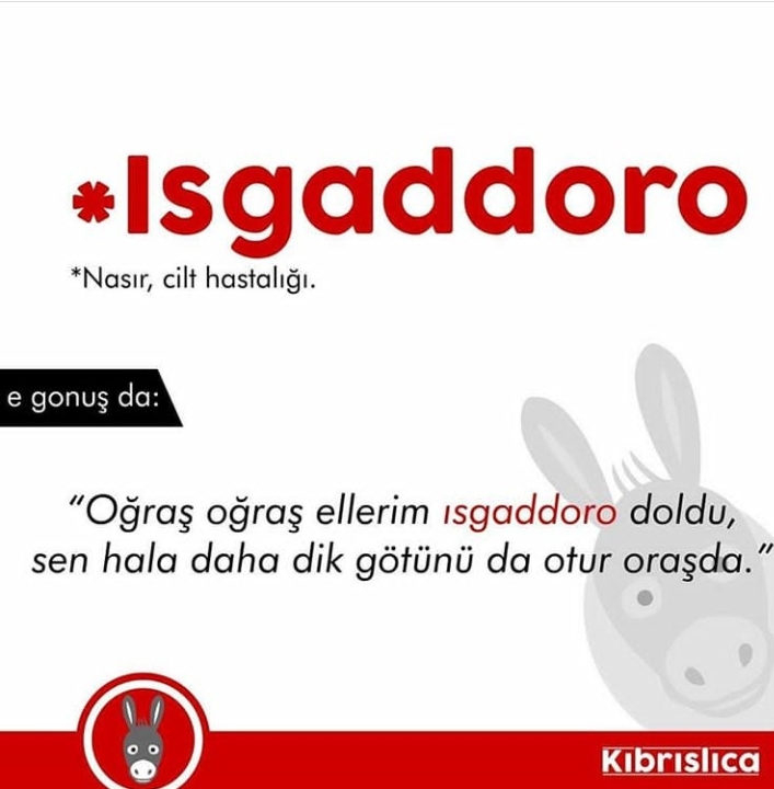 Sadece Kıbrıslıların bildiği 20 kelime. Siz kaçını biliyorsunuz ? galerisi resim 10