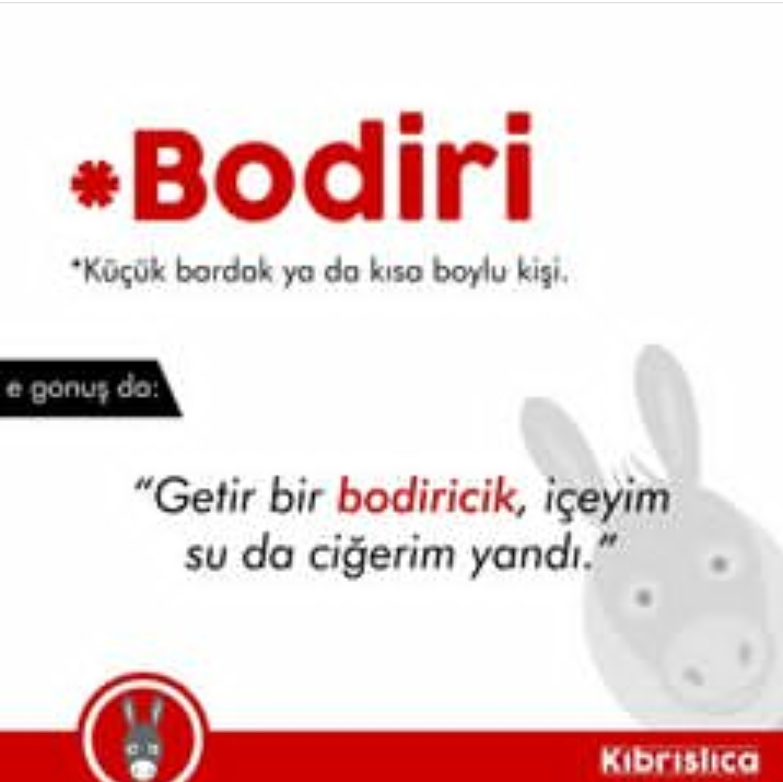 Sadece Kıbrıslıların bildiği 20 kelime. Siz kaçını biliyorsunuz ? galerisi resim 12