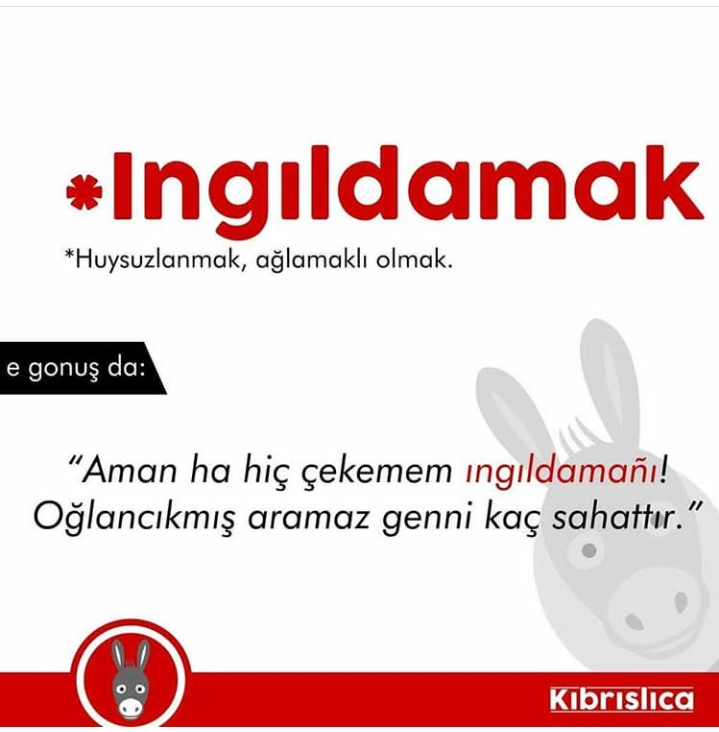 Sadece Kıbrıslıların bildiği 20 kelime. Siz kaçını biliyorsunuz ? galerisi resim 14