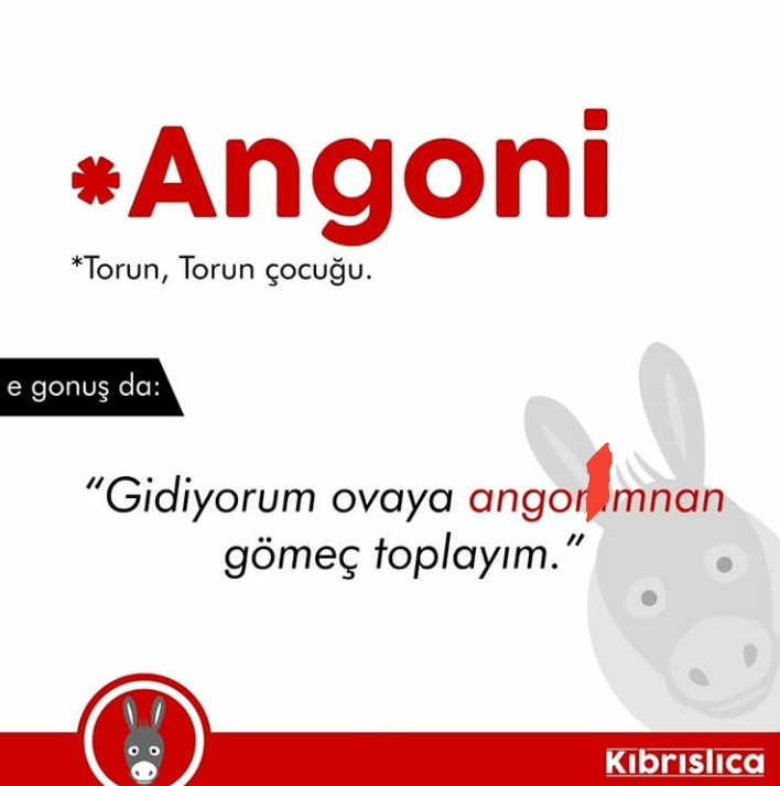 Sadece Kıbrıslıların bildiği 20 kelime. Siz kaçını biliyorsunuz ? galerisi resim 17