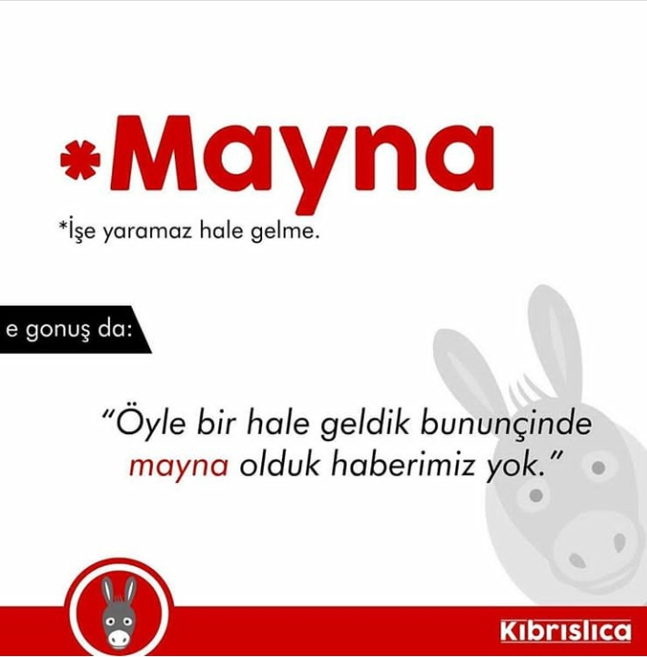 Sadece Kıbrıslıların bildiği 20 kelime. Siz kaçını biliyorsunuz ? galerisi resim 19