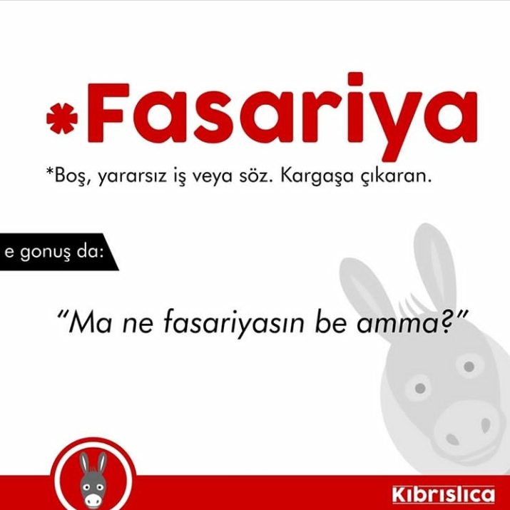 Sadece Kıbrıslıların bildiği 20 kelime. Siz kaçını biliyorsunuz ? galerisi resim 20