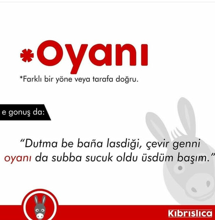 Sadece Kıbrıslıların bildiği 20 kelime. Siz kaçını biliyorsunuz ? galerisi resim 3